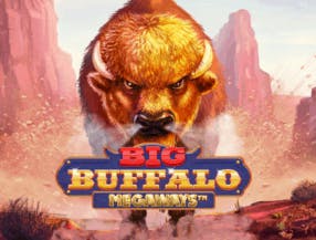 game logo by Skywind Group on rollxocasino.at