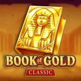 game logo by Playson on rollxocasino.at
