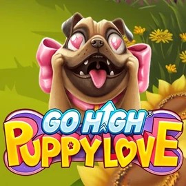 game logo by RubyPlay on rollxocasino.at